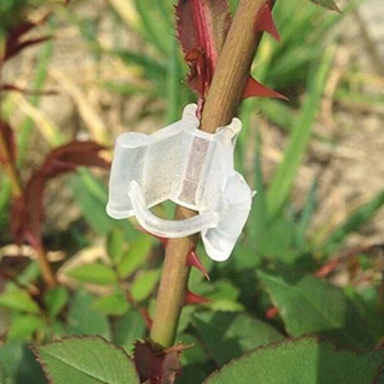 

50pcs Grafting Clips Backyard Garden Clipping Branch Vegetables Flower Planting Gardening Accessories