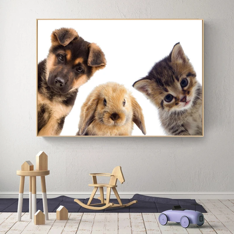 Curious Cute Animals Dog Rabbit and Cat Printed on Canvas