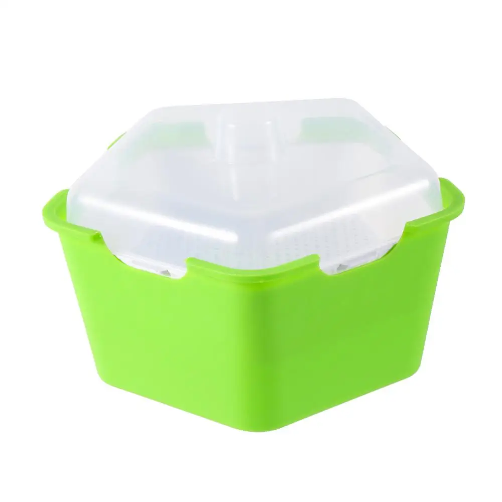 Pentagonal Plastic Sprout Planting Pot Box Bean Pea Sprouter Seedling Tray Wheat Grass Cat Grass Nursery Growing Germination Kit 