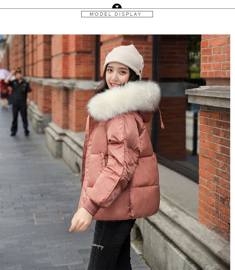 5 Colors Ladies Faux Fur Hooded Short Puffer Jacket New Fashion Parka Casual Loose Winter Jacket Women Warm Bubble Coat