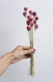 15pcs Pink 15 шт. Рождественский Декор gomphrena букеты сушеные натуральные Цветы Букет gomphrena букеты без вазы - Цвет: 15pcs Pink