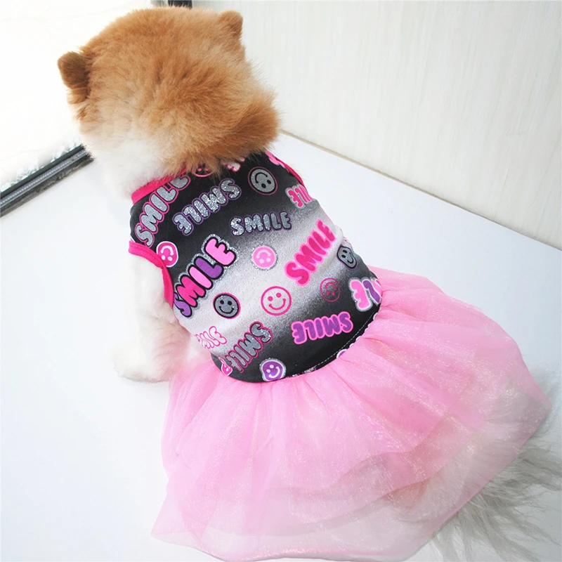 20191009_194141_007