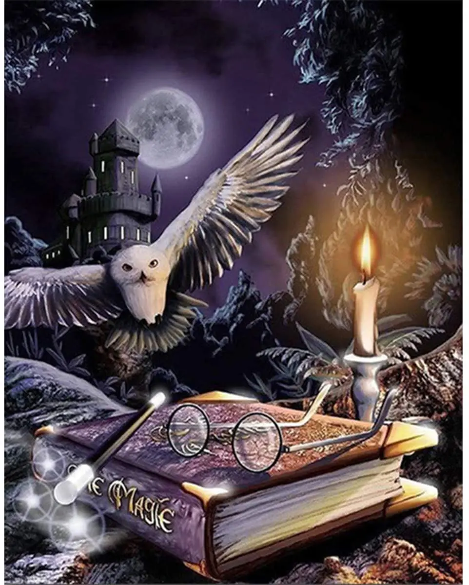 

Fundaful Diamond Painting Owl Books Kits Full Drill Round/Square Rhinestone Paint By Number Embroidery Art Home Decor