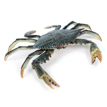 

Incredible Shuttle Crab Realistic Marine Organism Model Bathroom Toy for Kids F42E