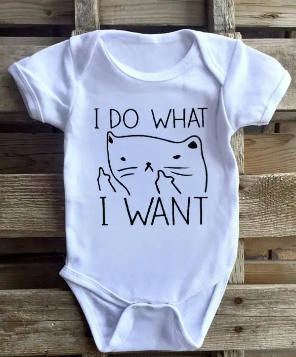 360截图20190228195002758