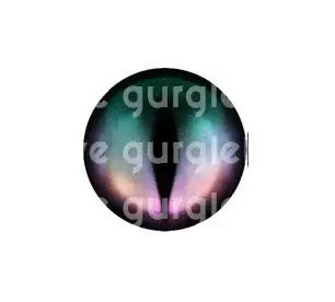 QQ截图20190510120819