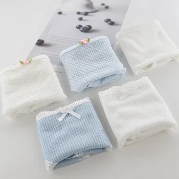 

5-Packaged in the Shape of Bars Blue and White Fresh 2 Soft Bubble Cotton Jersey Crotch 3 Article Thread WOMEN'S Panties GIRL'S