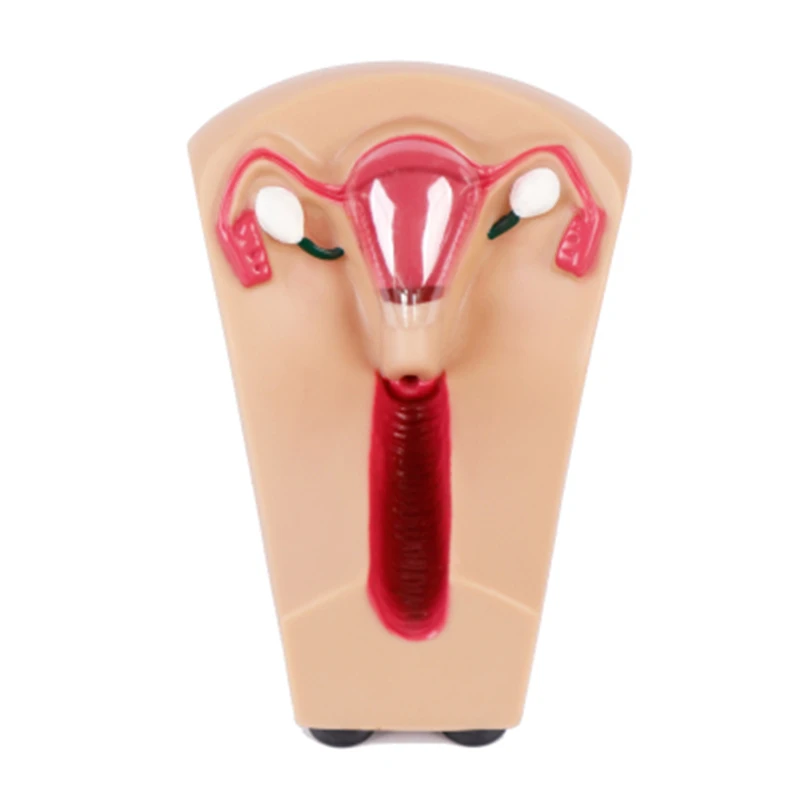 O1CN01oLw9JY2Bn0MB2KAMj_!!4198938382.jpg_400x400