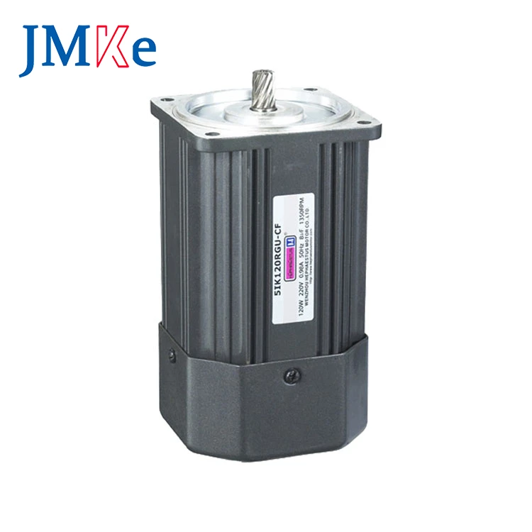 

220v AC Motor 5IK motor 120W without gear head 1500rpm