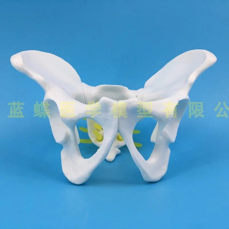 O1CN01BgIQIj1r1YycyqgKz_!!366265571