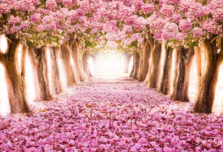7x5ft Fairy Tale Pink Flowers Tree Path Mist Grand Entrance Custom Photo Studio Background Backdrop Vinyl Banner 220cm x 150cm |