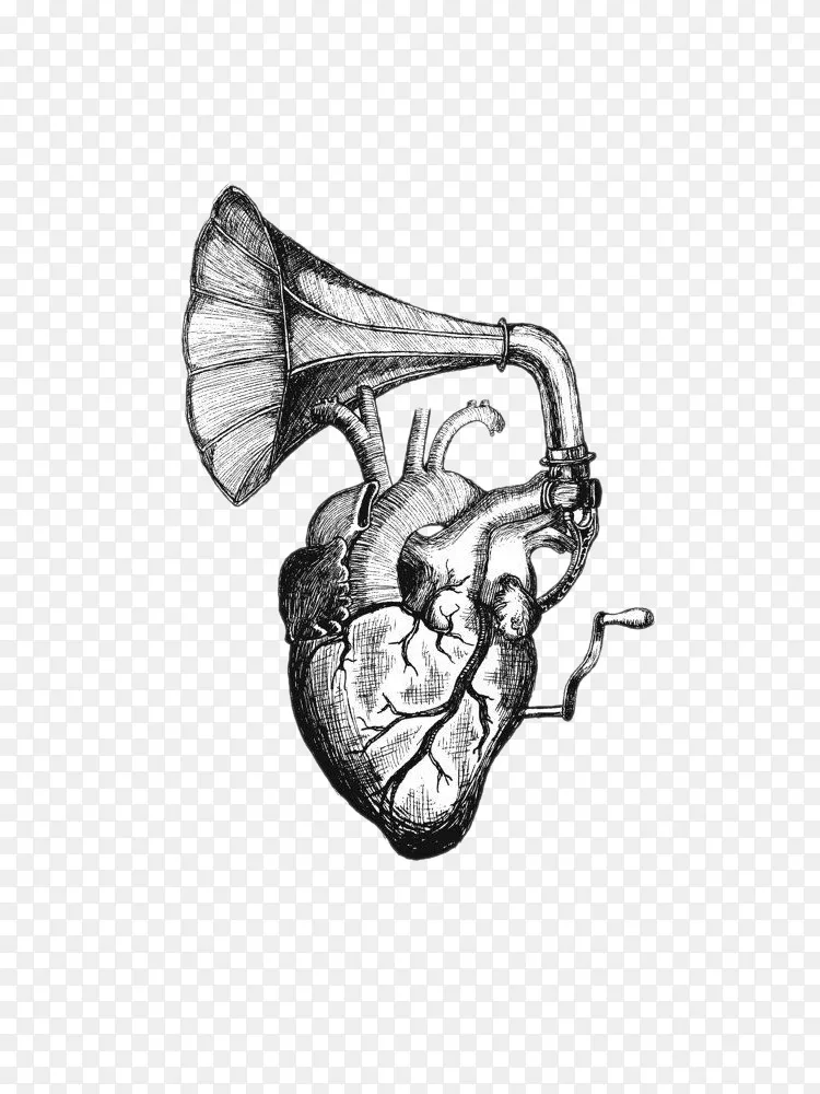 心音画纹身解剖 心脏扬声器png图片素材免费下载 图片编号 Png素材网