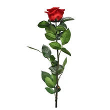 4-5 см диаметр Сохраненная Роза Цветы Роза с 28 см стебель День матери DIY Свадьба вечная жизнь цветок материал подарок