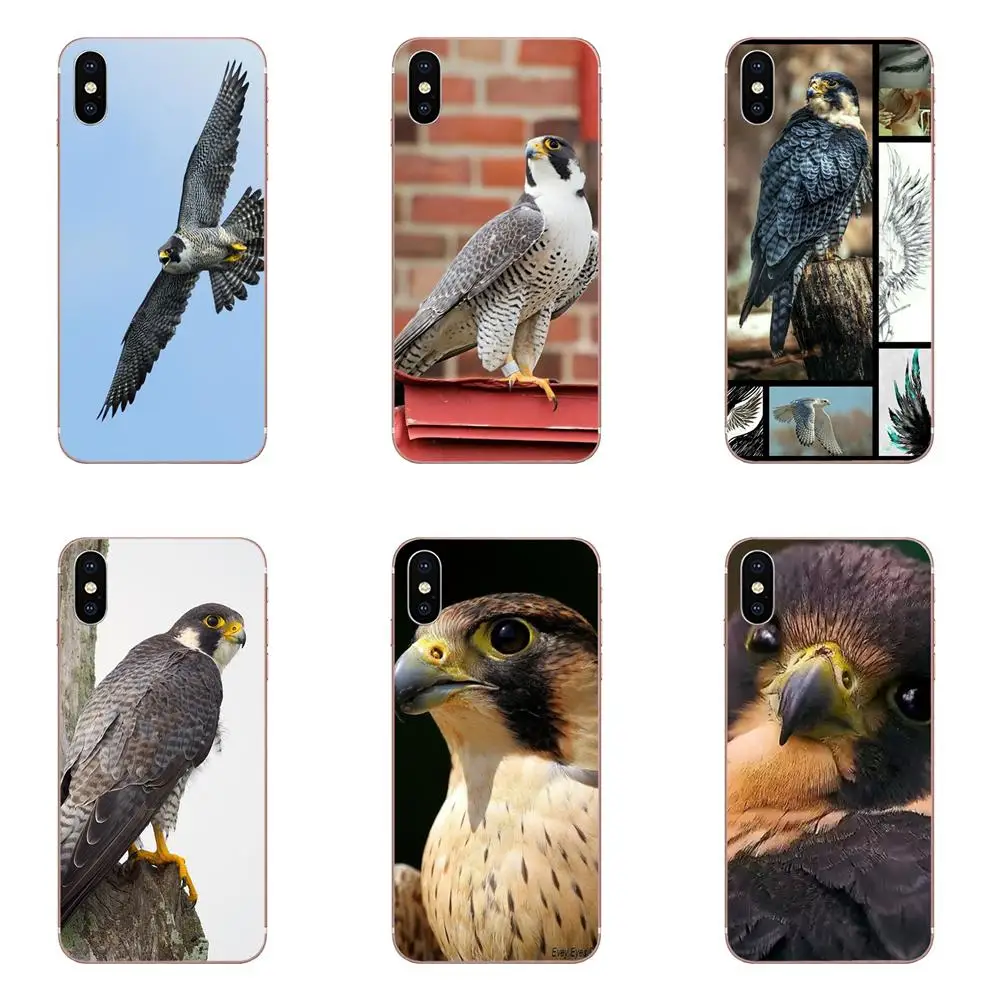 ТПУ топ продаж Peregrine Falcon самое быстрое животное для Huawei Mate 30 Pro Lite 20s NOVA 6 SE 5 P40 p30 lite