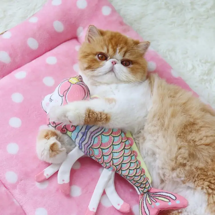 

Funny Interactive Cat Toys Teeth Grinding Catnip Toys Fish Shape Kitten Chew Toys Cat Pillow Pet Supplies Yh178