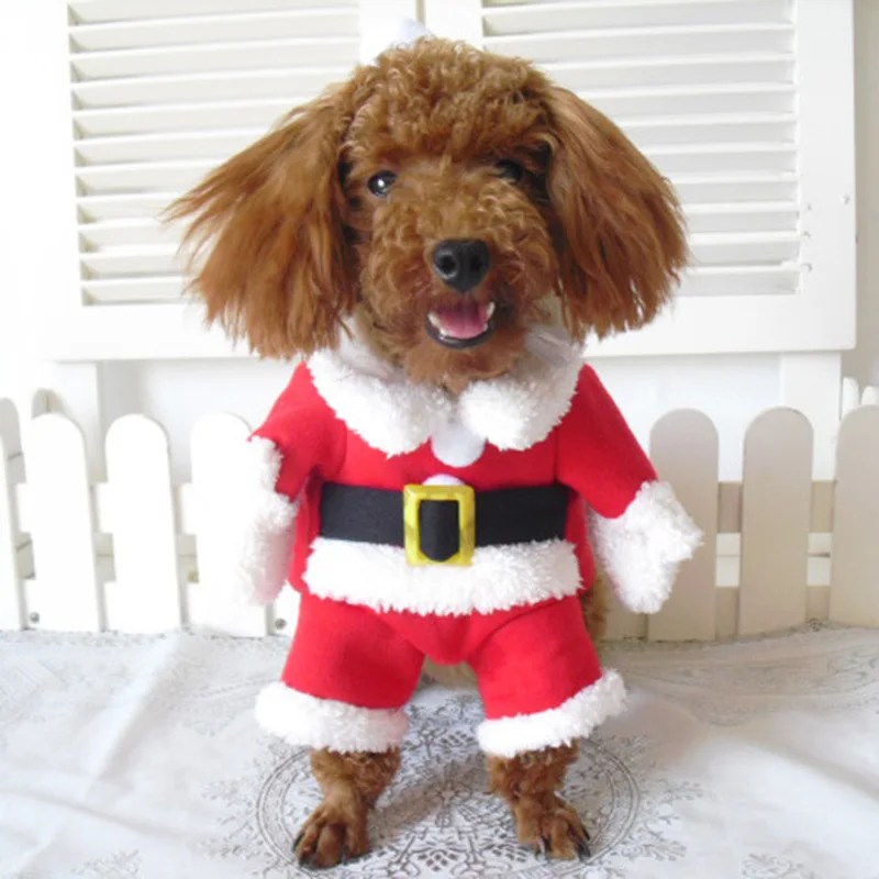 Winter-Christmas-Pet-Cat-Costumes-Funny-Santa-Claus-Clothes-For-Small-Cats-Dogs-Xmas-New-Year (1)