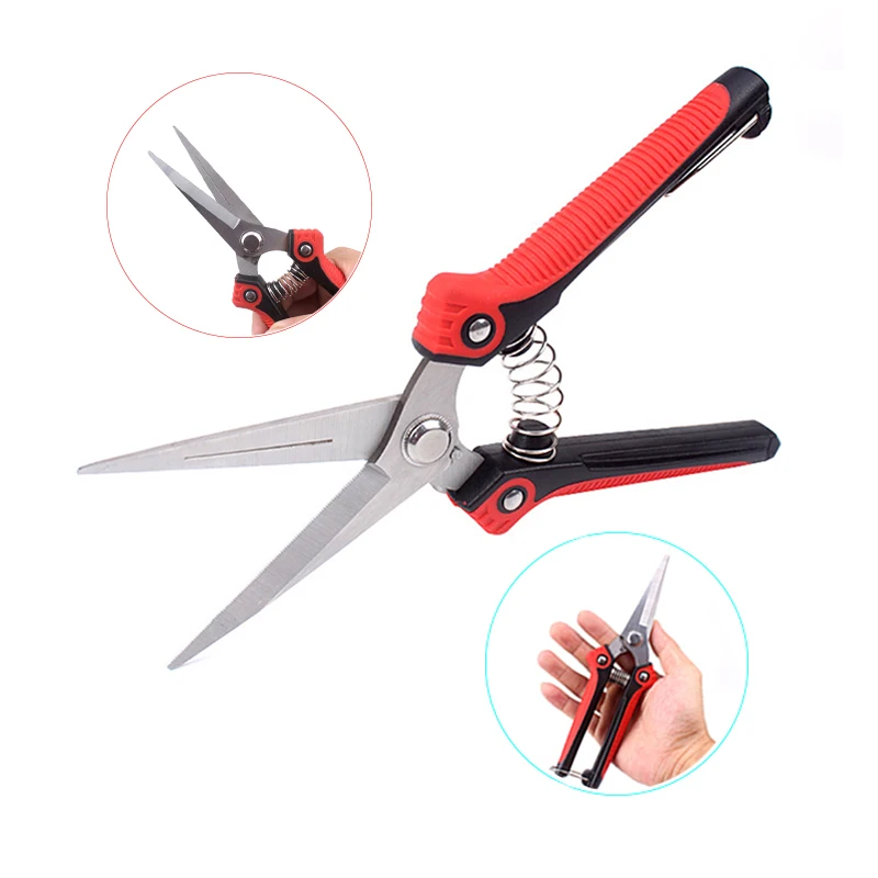 

Professional Stainless Steel Pointed Orchard Picking Fruit Shears Picking Fruit Grape Pruning Tools