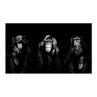 monkey 9