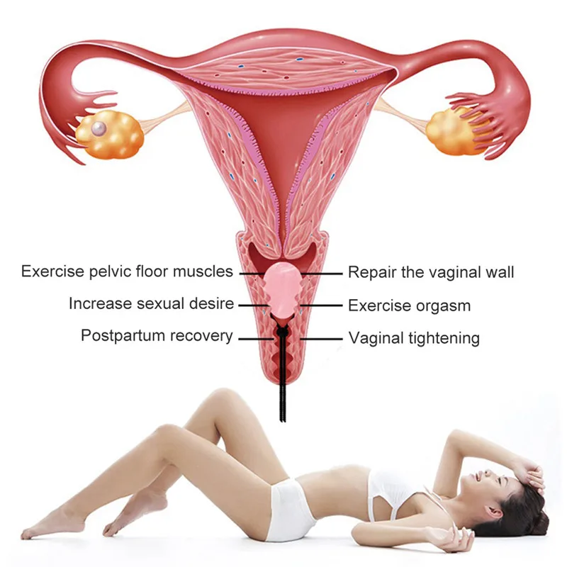 304829_no-logo_304829-1-03-g