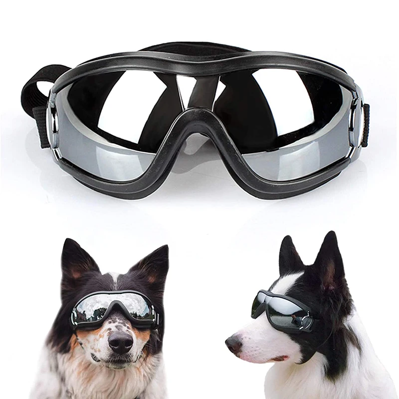 Glasses Dogs Photos Props Accessories Sale Dog Accessories Eye