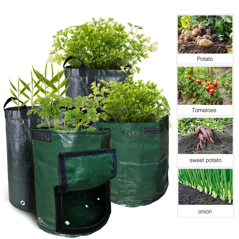 https://ae01.alicdn.com/kf/H32ab69f22bf34040bd97afe20adf98f3B/Durable-Potato-Grow-Bag-PE-Vegetable-Onion-Plant-Bag-with-Handle-Thickened-Garden-Carrot-Taro-Peanut.jpg