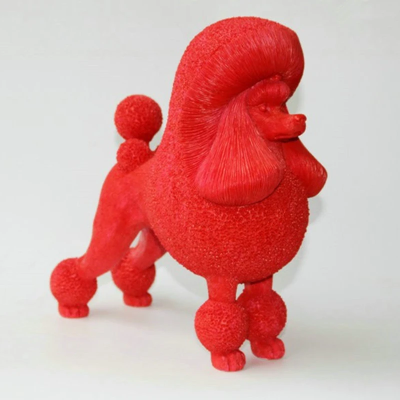 showcase miniature poodles