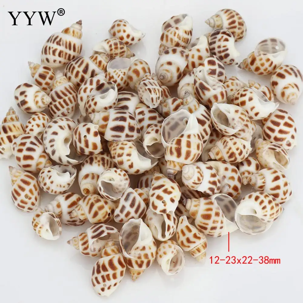90 шт./пакет морские раковины Schelpen Coquillage Conchas Shell для украшения дома Морской Декор Декоративные ракушки Вавилон морской дом