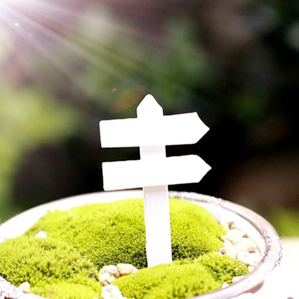 YAY200423378_0532005448293132807