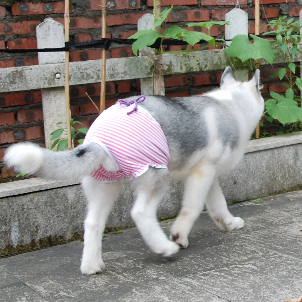 Pet Physiological Pant Diaper Sanitary Washable Female Dog Shorts Panties Menstruation Underwear Briefs dog diapers,pet diapers,dog nappies,dog shorts