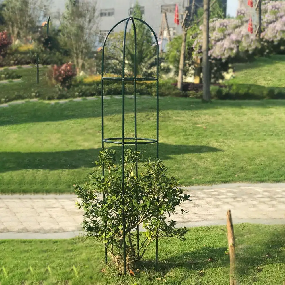 Iron Plant Growth Bracket Garden Trellis Plant Support for Home Garden Climbing Vines Flowers Stands 194cm