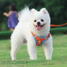 

Faux suede Breathable Small Dog Pet Harness and Leash Set Puppy Cat Vest Harness Collar For Chihuahua Pug Bulldog Cat