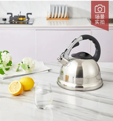 CL-02030405, натуральный чайник для газовой плиты, 3,5л, чайник, газовая, нержавеющая сталь, домашняя, старомодная, традиционная газовая плита с цветным свистком - Цвет: Белый