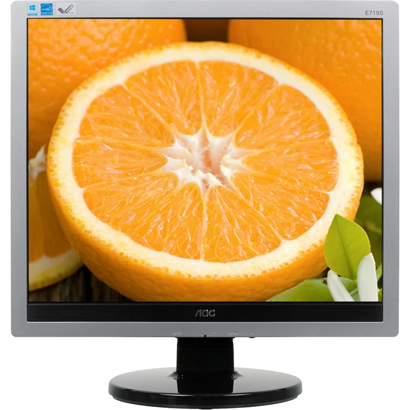Монитор AOC 17" e719sda(00/01) серебристый TN+film LED 5ms 5:4 DVI M/M Mat 250cd
