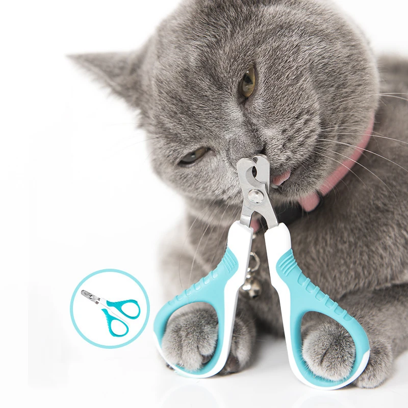 1pcs Pet Nail Scissors Oblique Nail Clippers Cat Scissors Stainless Steel Pet Nail Scissors Cleaning And Grooming Toe Care