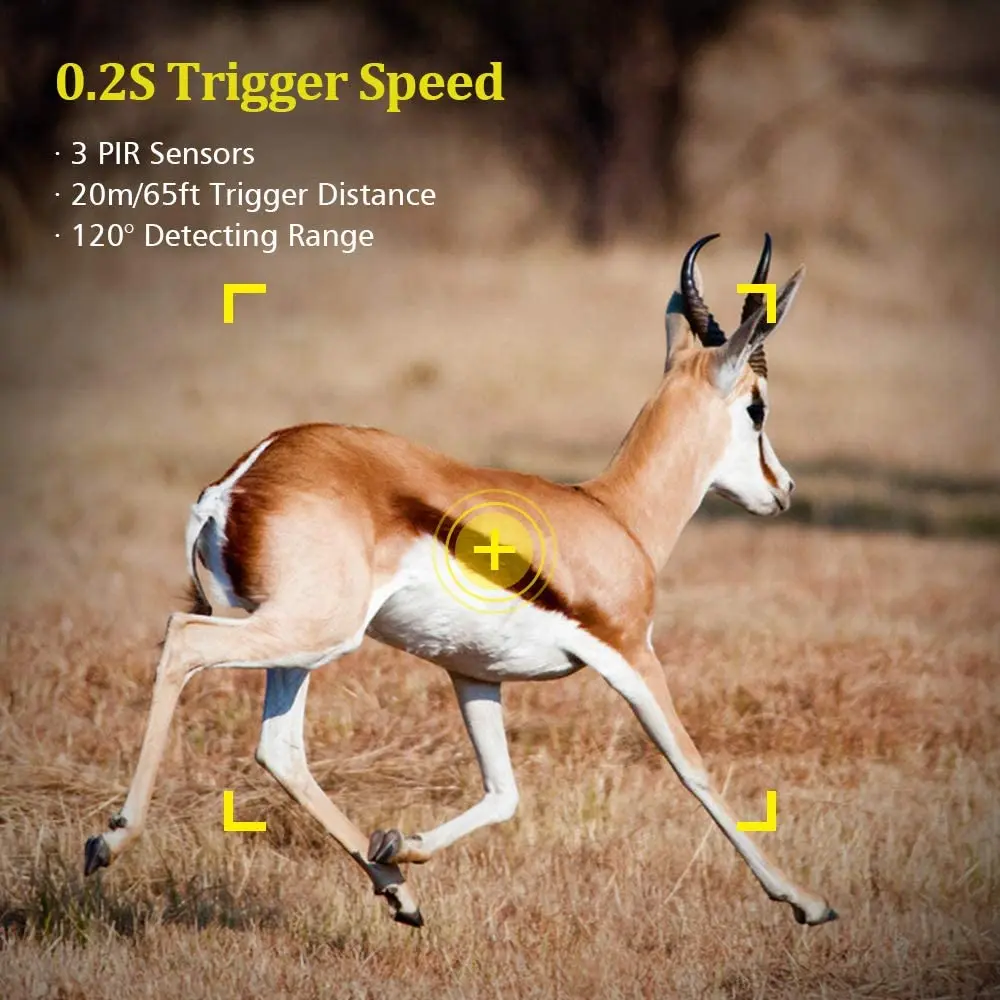 Slide image 698a7acaddf748548f207d11ed54ac54