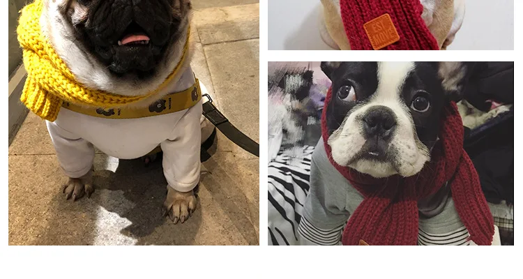 12514743510_547539500