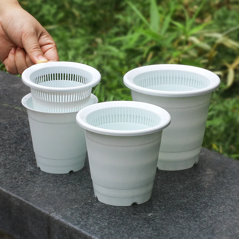 Meshpot 8 cm 9 cm 10 cm Orchid Pot Succulent Pot Plastic Flower Pot Green  Plants Container Basin Pot with Air Holes - AliExpress 15