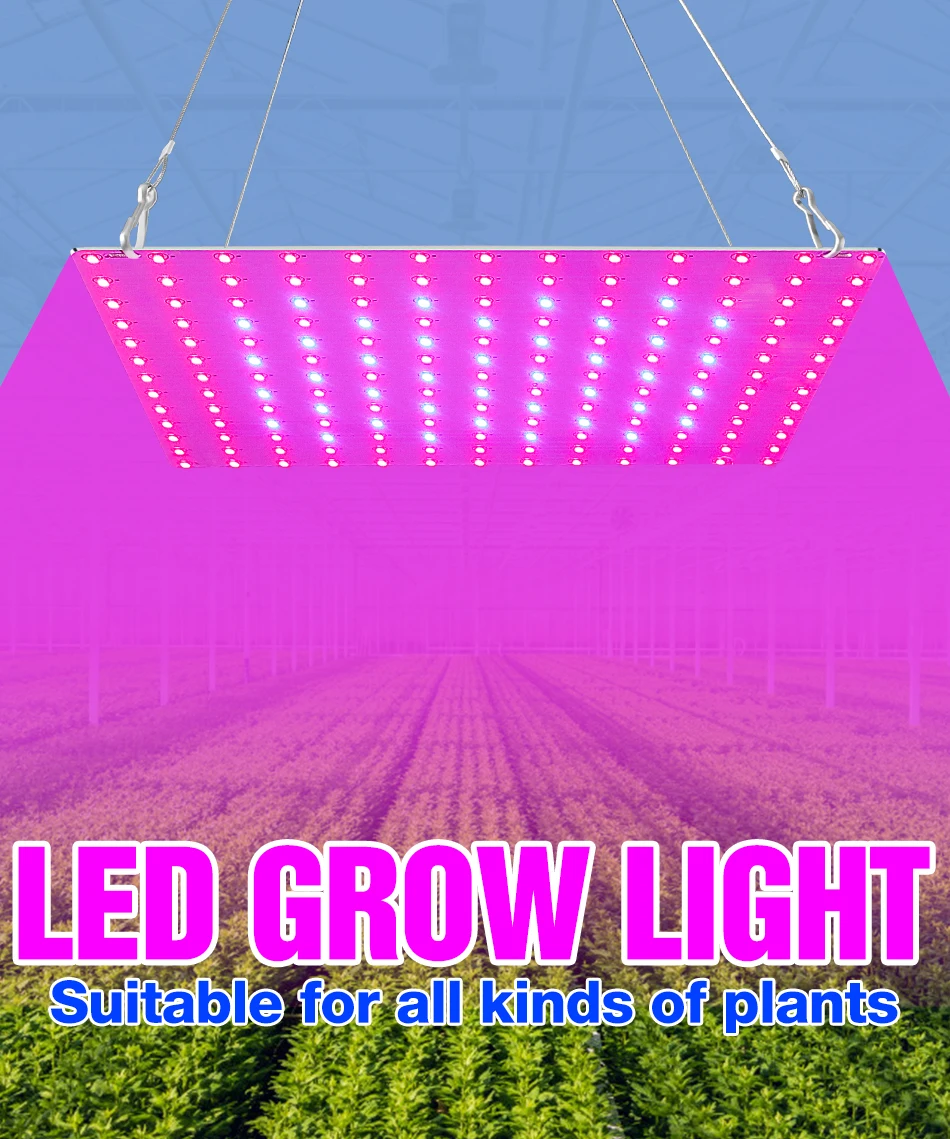 luzes de cultivo