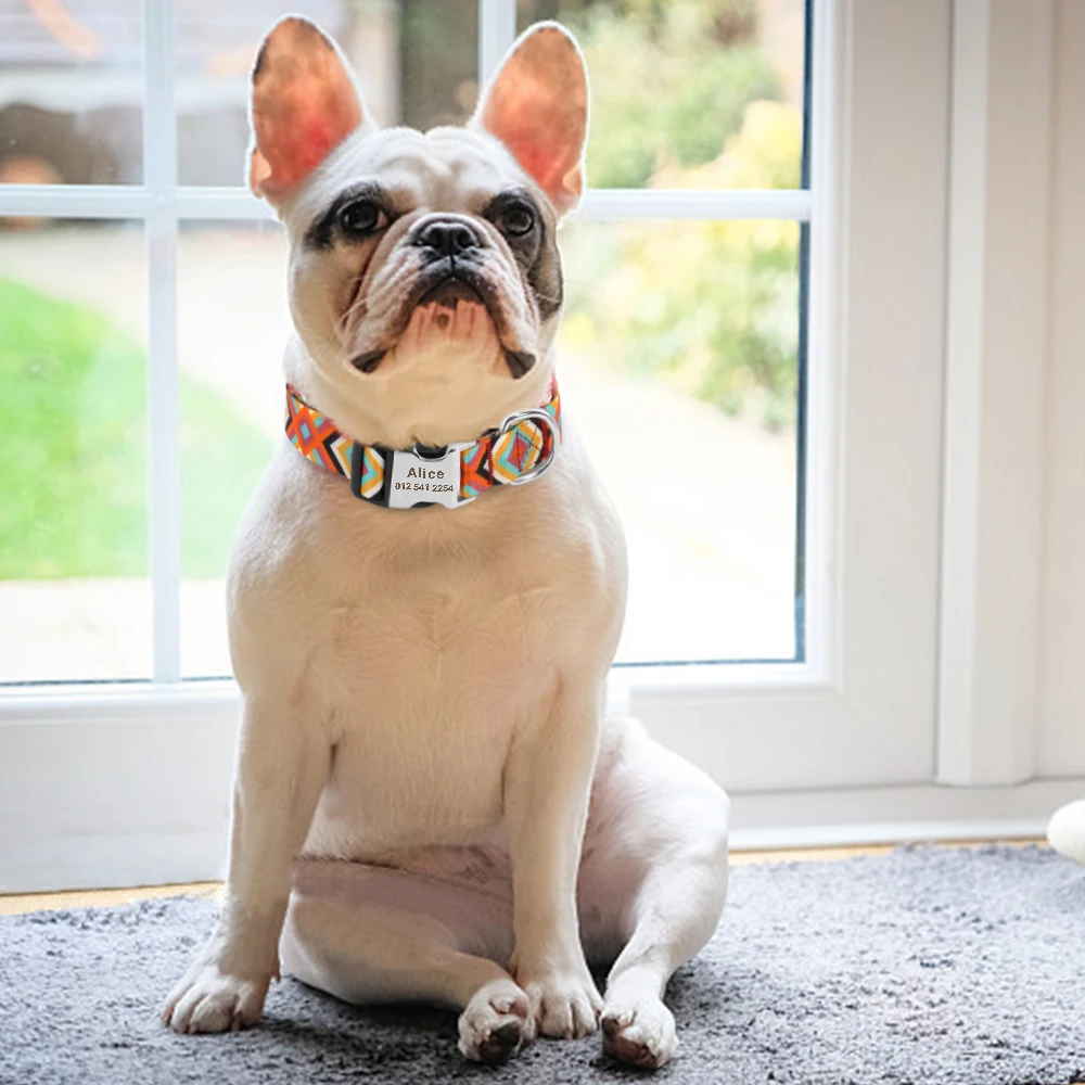 Fashion Custom Dog Collar Nylon Print Personalized Pet Collar