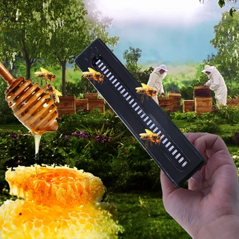 

10pcs Honey Pots Agriculture Tools Durable Small Bee Hive Beetle Traps Beekeeping Equipment Pest Control Garden Supplies
