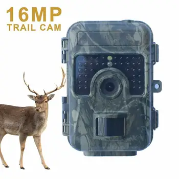 

Hunting Camera 16MP 1080P Night Vision Trail Cam Trap Scouting IR Cam Security