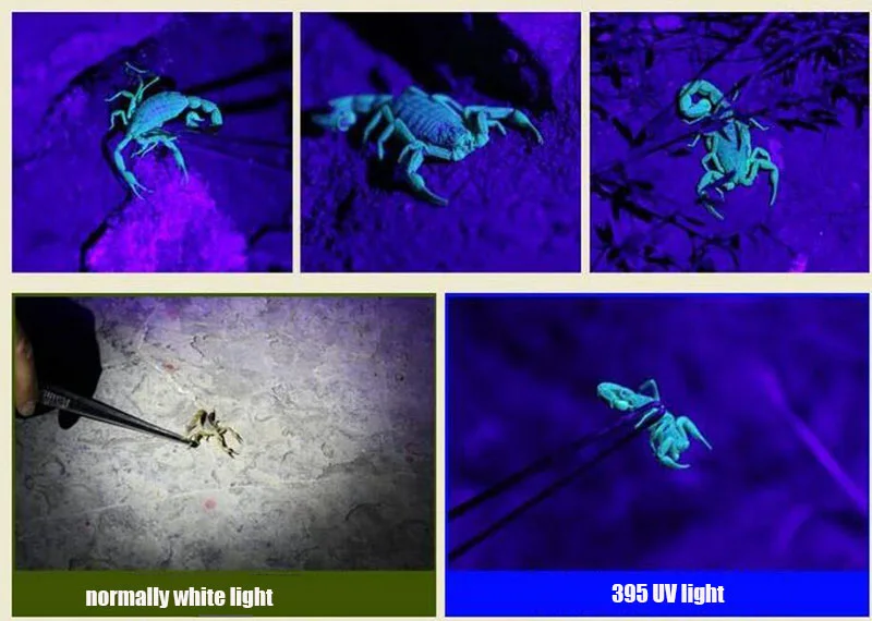 2 светодиодных фиолетового и белого цвета, ультрафиолетовый светильник-вспышка, светильник-вспышка, черный светильник, фонарь с зумом, ультрафиолетовая лампа, ночник, светильник для обнаружения денег
