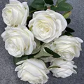Image 20
