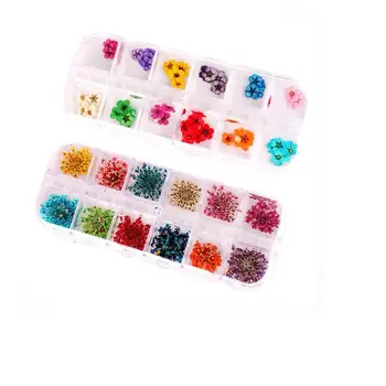 

2pcs Nail Stickers Dried Flower DIY Three Dimensional Beautiful Decorative Manicure Ornaments Nail Stickers for Girl Woman