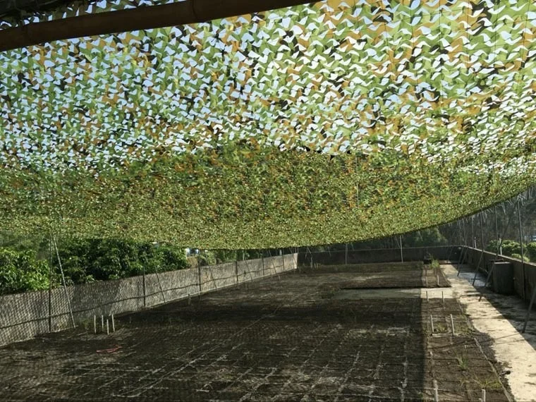 HTB1TfJQRFXXXXb.XpXXq6xXFXXXV