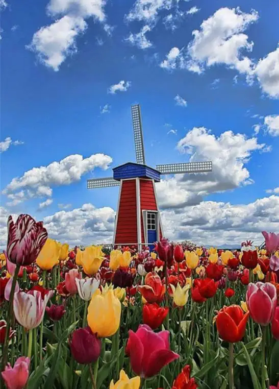 360截图20200520173821461