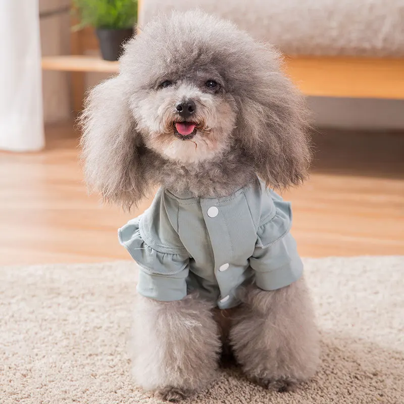 Spring and Autumn Leisure Styles Pet Dog Clothing Fashion Can Be Comfortable Breathable The Two Feet Garments Small Dog Clothing