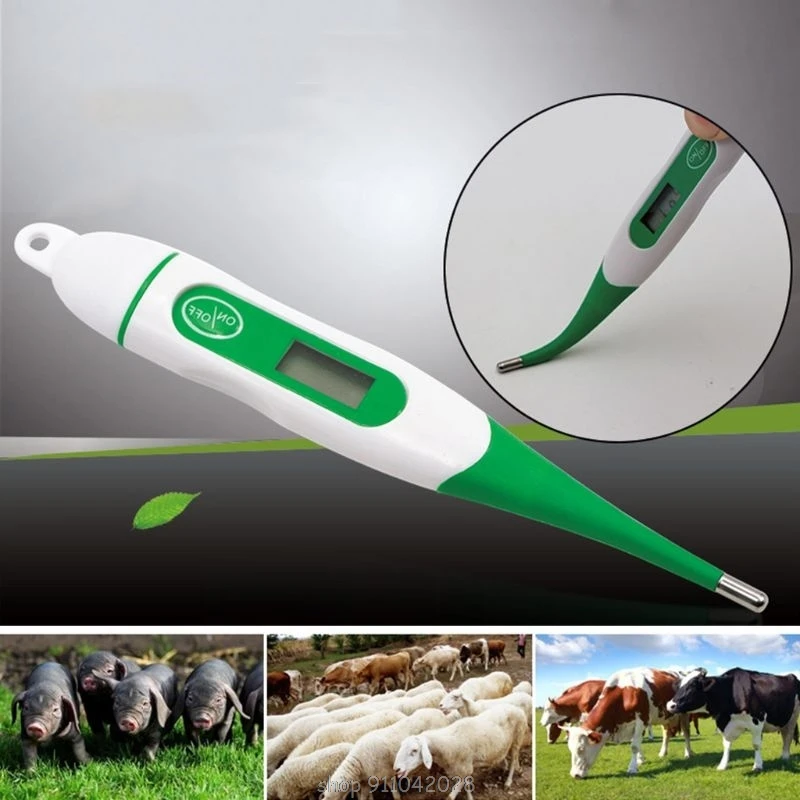 Termómetro Digital para mascotas, medidor de temperatura para detección precisa, adecuado para gatos y perros, impermeable, de lectura rápida, Oral, axila, N13 20