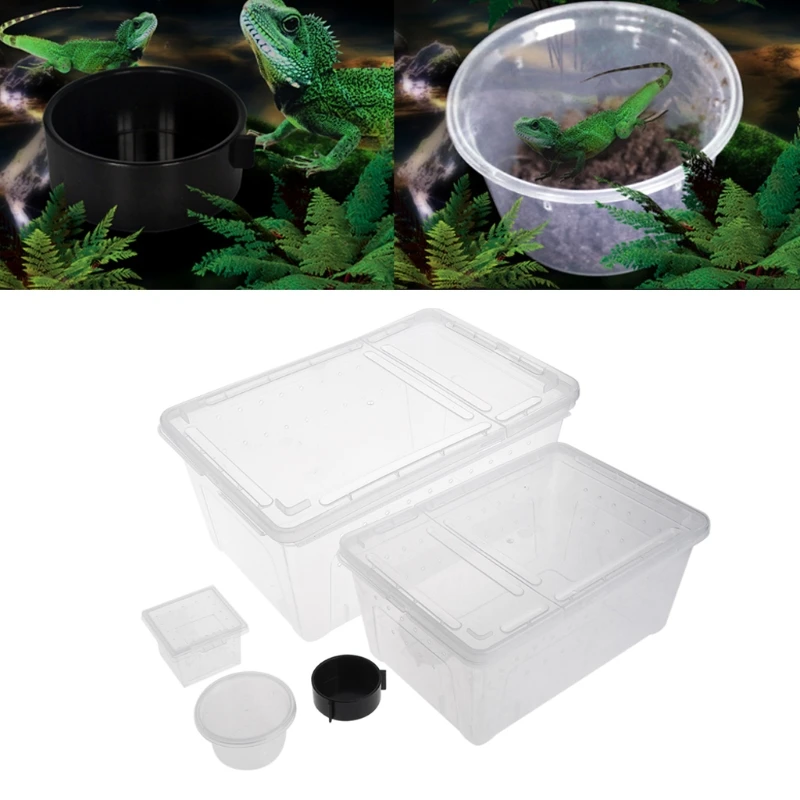 Transparent Plastic Box Insect Reptile Transport Breeding Live Food Feeding for Lizards Tortoise Spider Beetle House | Дом и сад