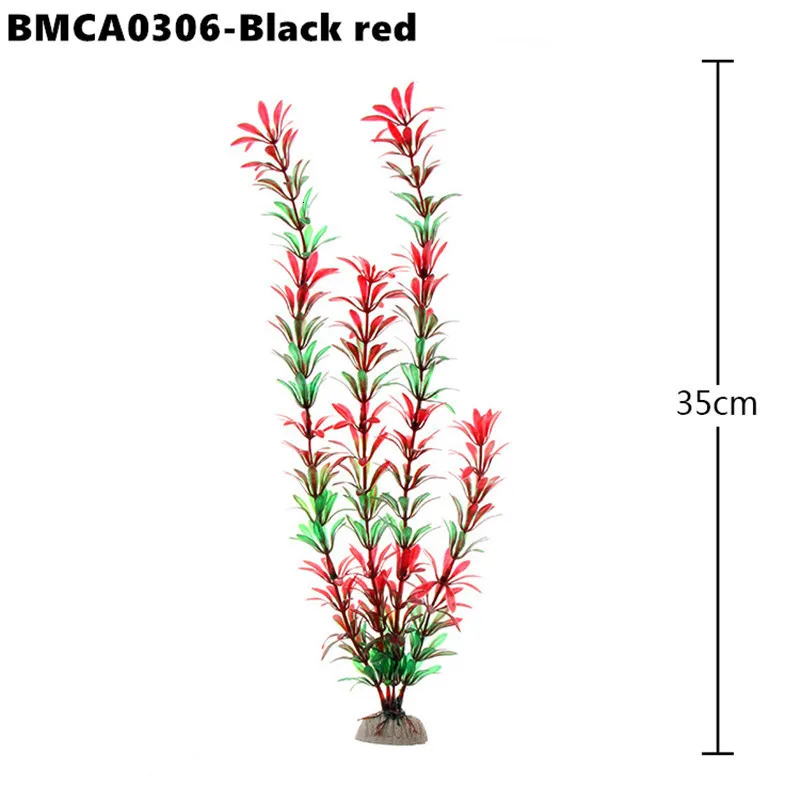 BM081 (2)